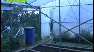 Kerobee Farm (DOST SETUP Assisted Project)