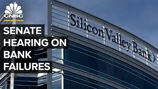 Senate Banking Committee hearing on the collapse of SVB and Signature Bank &mdash; 3/28/23