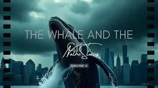 The Whale and the City #storm  #whale  #city