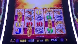 Buffalo Gold - Good Bonuses