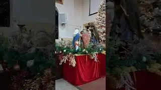 ❣️ Mass at Piedade Parish ❣️