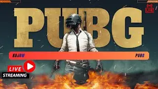 PUBG , WINNER WINNER PORK DINNER