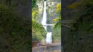 Epic Hikes with Dogs Exploring the Multnomah Falls #pets #dogfacts #viral #trending #puppy #dog