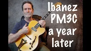Tim Lerch - Blues for 26 Ibanez PM3C after a year.