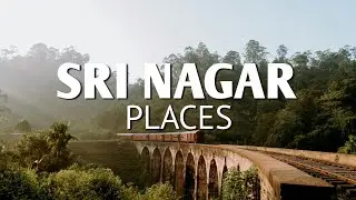 Srinagar Diaries: A Journey Through Kashmir | Srinagar: The City of Lakes and Gardens | Way On Mee