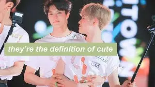 jenle (jeno and chenle) are the cutest kittens