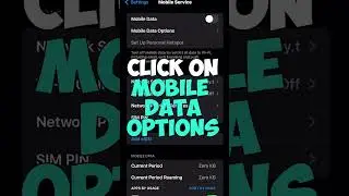 How To Enable 5G on iPhone