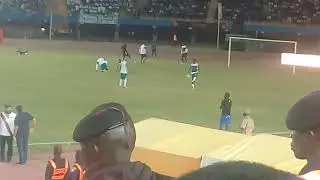 Aliou dieng star