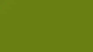 Stunning Olive Green 8K Ultra HD | Reference Color for Cinematographers