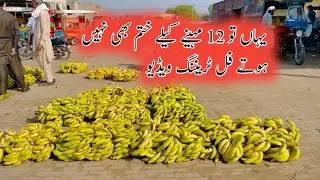 Ya to 12 Mahine Ke Liye Khatm Bhi Nahin Hote Ful Training Video | Safdar Brand🥰😱😂