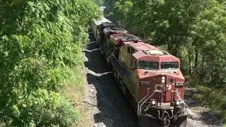 CPKC train 135 seen at Denfield Rd bridge. Power by CP 8734 & KCS 4056. Mixed freight.