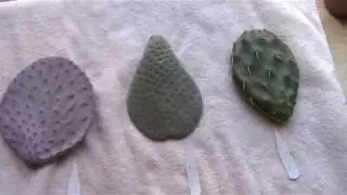 Cactus Pad Haul!