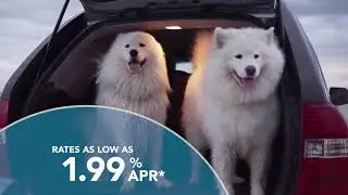 Point Breeze Auto Loans: You'll Love the Savings
