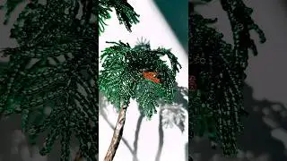 Пальмы из бисера