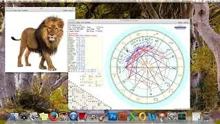 February 2020 | Leo Full Moon Cycle Astrological Themes & Processes