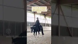 Reiterhilfen #pferdetraining #horse #reiten #pferde #reitkunst #dressur #klassischedressue #pferde