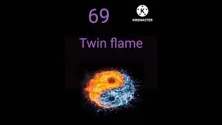 69 angel number Twin flame