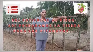 DEL ESTIERCOL AL RIEGO: ASI PREPARAMOS LA TIERRA PARA LAS PITAHAYAS