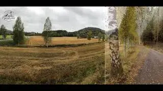 Fargerik h&oslash;st I Norge
