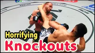 Most Savage Headkick and Flying Knee KOs in Combat Sports!   2025