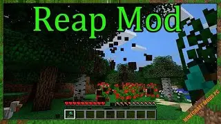 Reap Mod 1.14.4/1.12.2 Download - How to install it for Minecraft PC