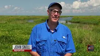 Louisiana coastal restoration gains momentum 20 years after Hurricane Katrina