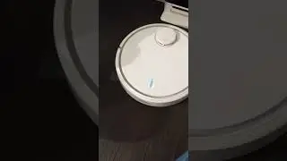 Xiaomi Roborock Fehler