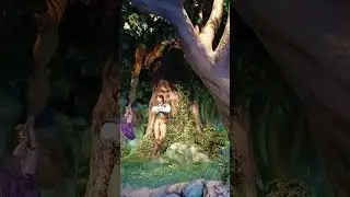 Riding Tokyo Disneyland Rapunzel's water coaster 🎢
