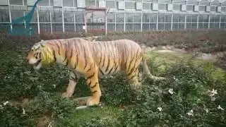 LORISO6002 Outdoor Playground Attractive Artificial Animatronic Tiger
