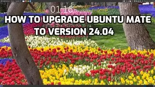 Как обновить Ubuntu MATE до версии 24.04 LTS