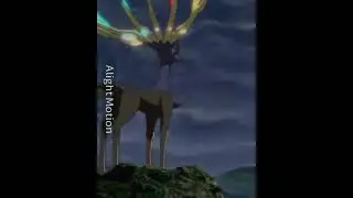 Yveltal Vs Xerneas  | Pokemon #shorts #pokemon #anime
