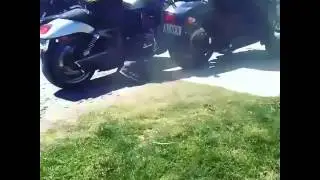 GDMC GREAZYDOGS