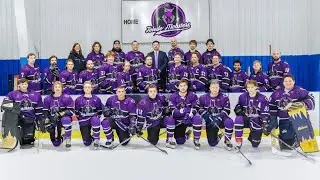 Toledo Mobsters hockey terminates play for remainder of season, owner intends to sell franchise