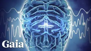 Can SOUND Heal Through Frequencies Affecting Brainwaves?