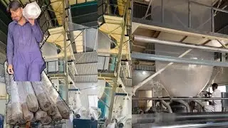 Complete Production Process of Greenhouse Plastic Film | Step-by-Step Guide