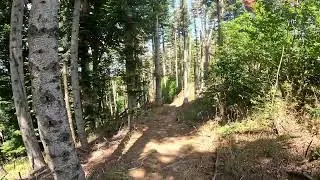 Caccia al Leprotto - Trail Seccheto - Premilcuore 🤘🚀