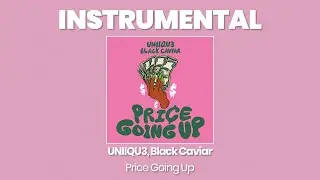 INSTRUMENTAL BEAT : Price Going Up - UNIIQU3, Black Caviar
