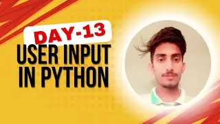 Day 13: Python User Input Tutorial – Get Input from Users in Python