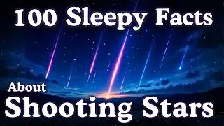 The Most Relaxing Facts About Shooting Stars To Fall Asleep To