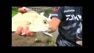 Рыбалка на королевскую рыбу в Восточном Кейпе | ASFN Fishing