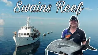 Fishing Swains Reef! Topwater Bust-Ups & Bait!