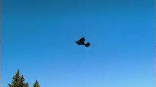 Jupiter Duck RC prosty model typu  slow flyer