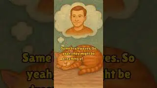 Furry facts about cat that will shock you  #cats  #animals #funnyvideo #shorts #shortvideo