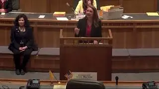Rep. Stansbury: I spoke at the Joint Session at the State Legislature!