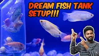 New Fishes!!🐠 New Tank Setup | ESKI YT