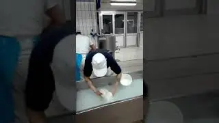 Preparazione di una treccia di mozzarella