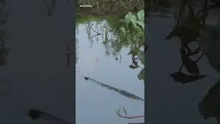 5 Tempat Mancing di Pasuruan untuk Mengisi Akhir Pekan