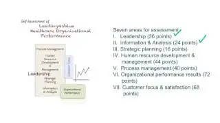 L4V Self Assessment Of Organizational Performance