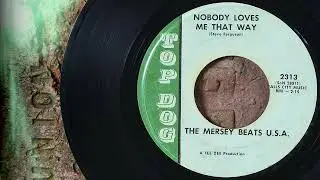 The Mersey Beats U. S. A. - Nobody Loves Me That Way  ...1966