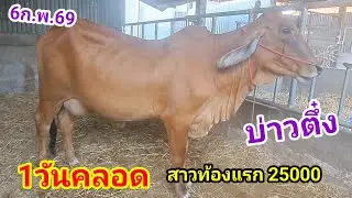 บ่าวตึ๋ง 080-188-5110 บ.นาหว้า อ.ปทุมราชวงศา จ.อำนาจเจริญ/6ก.พ.69